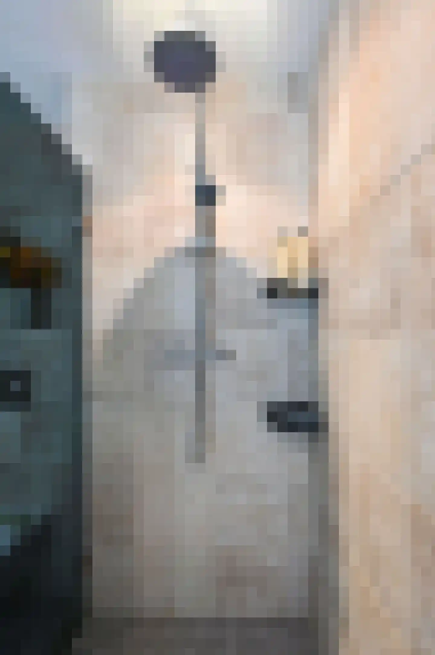 Bachlaan 5 Huizen thumbnail 34