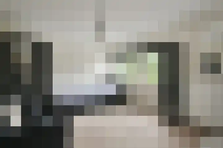 Bachlaan 5 Huizen thumbnail 34