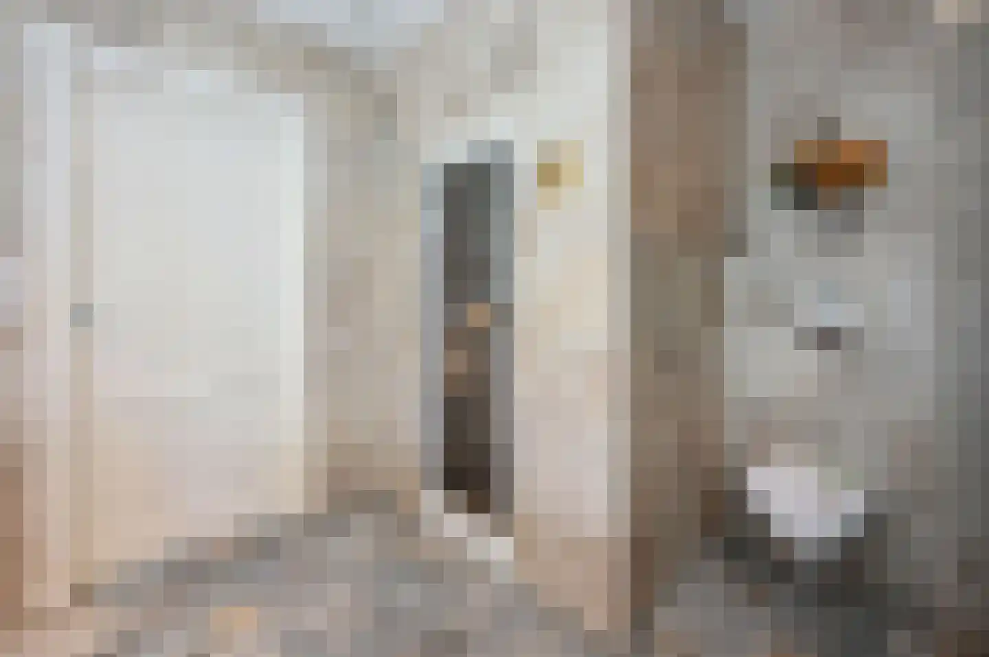 Bachlaan 5 Huizen thumbnail 36