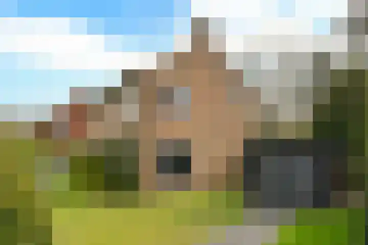 Bachlaan 5 Huizen thumbnail 39