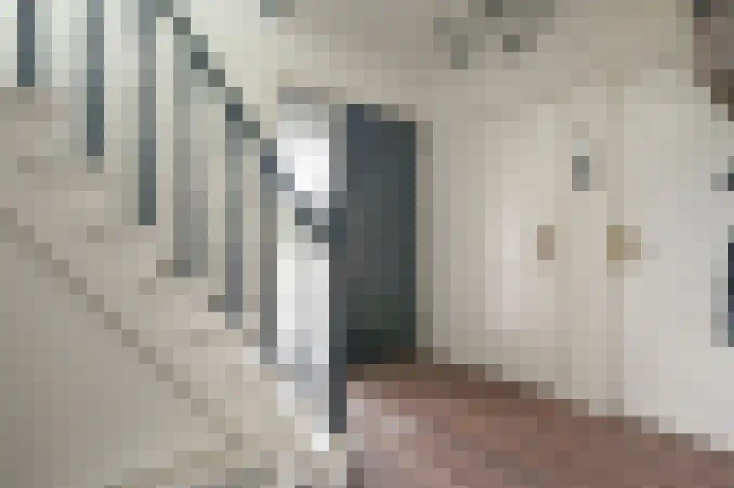 Bachlaan 5 Huizen thumbnail 40