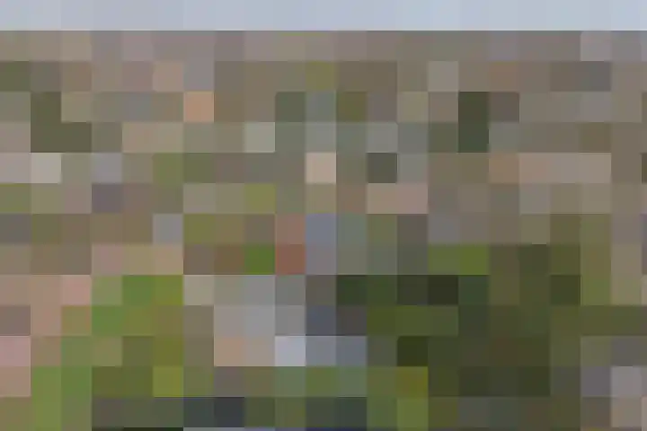 Bachlaan 5 Huizen thumbnail 41