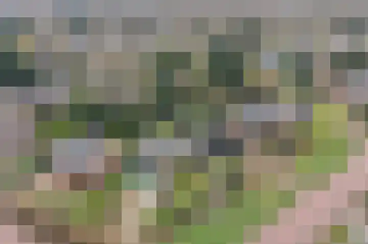 Bachlaan 5 Huizen thumbnail 43