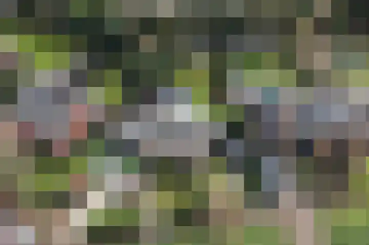 Bachlaan 5 Huizen thumbnail 44