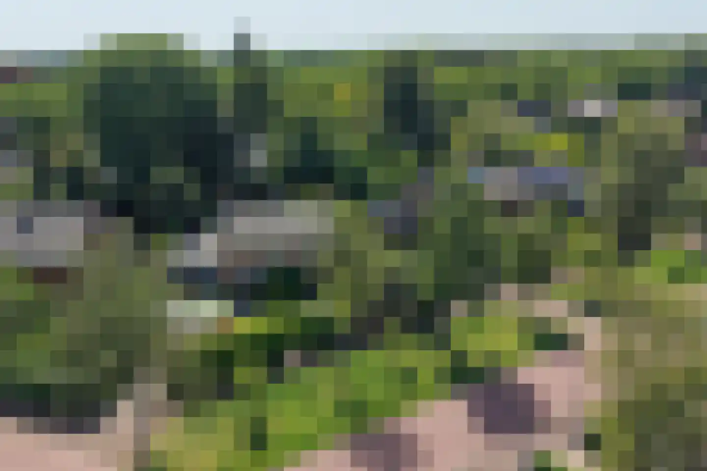 Bachlaan 5 Huizen thumbnail 47