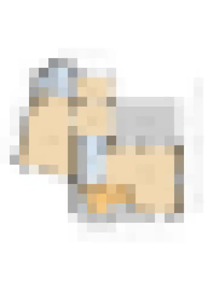 Bachlaan 5 Huizen thumbnail 47