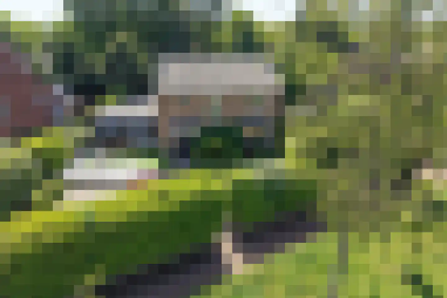 Bachlaan 5 Huizen thumbnail 49