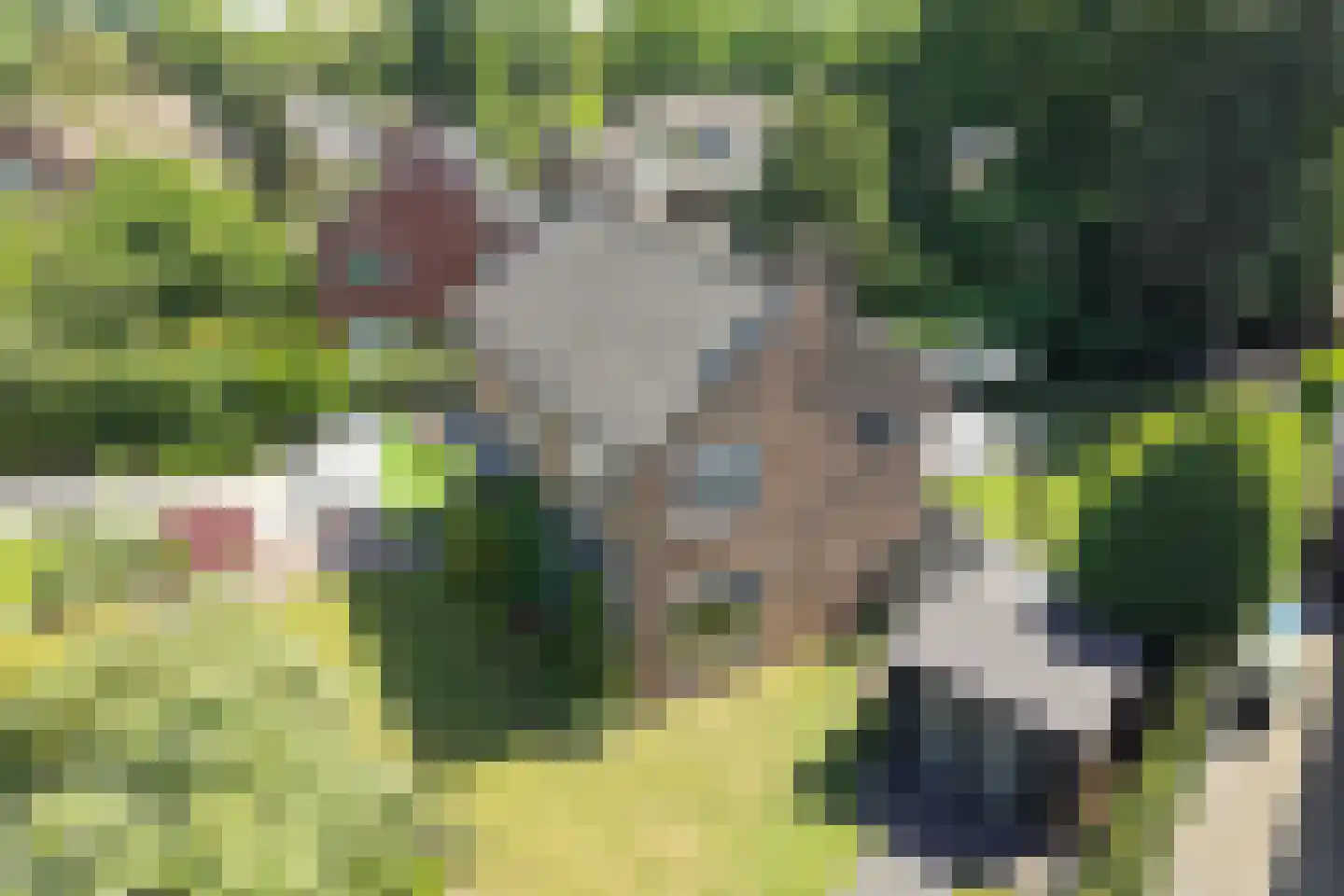 Bachlaan 5 Huizen thumbnail 50