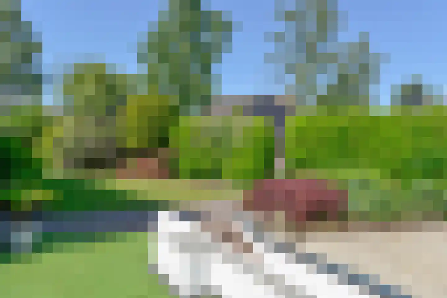 Bachlaan 5 Huizen thumbnail 6