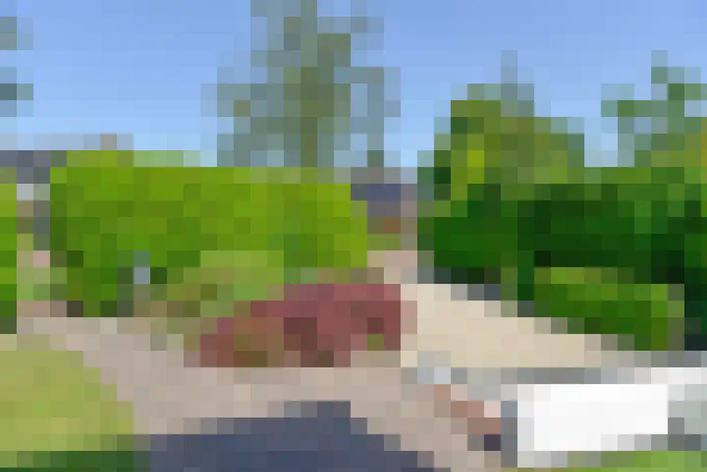 Bachlaan 5 Huizen thumbnail 7