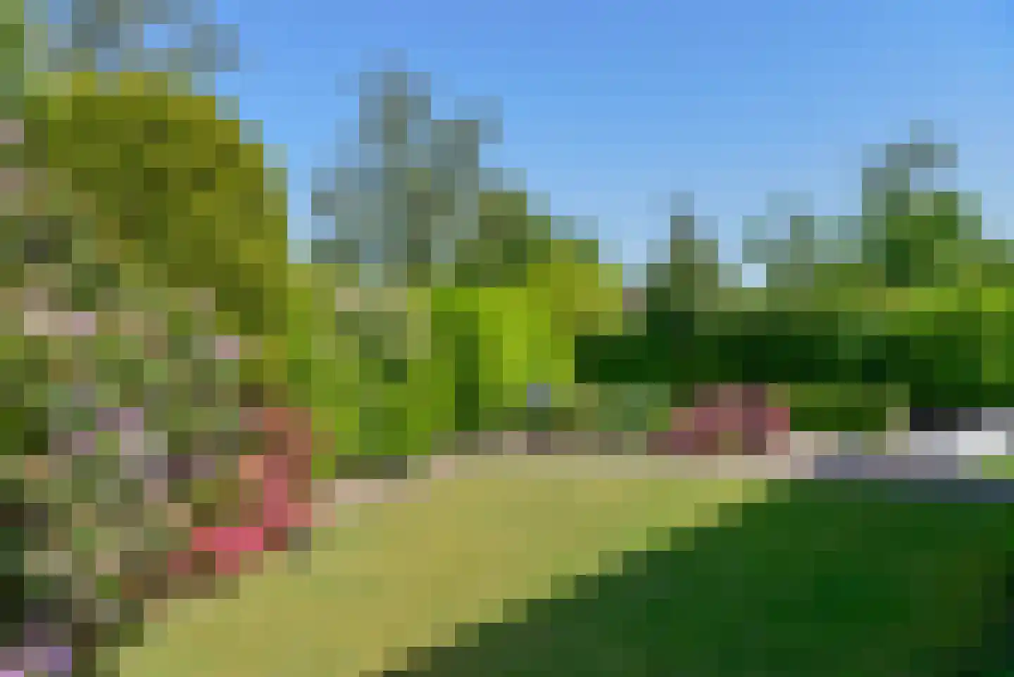 Bachlaan 5 Huizen thumbnail 9