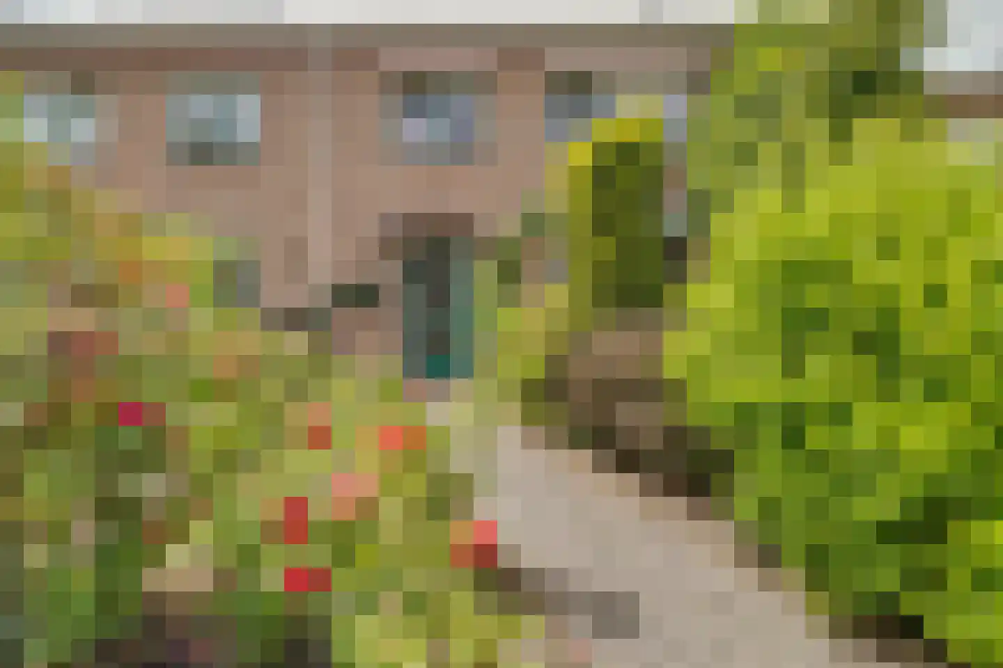 Bachlaan 50 Apeldoorn thumbnail 28