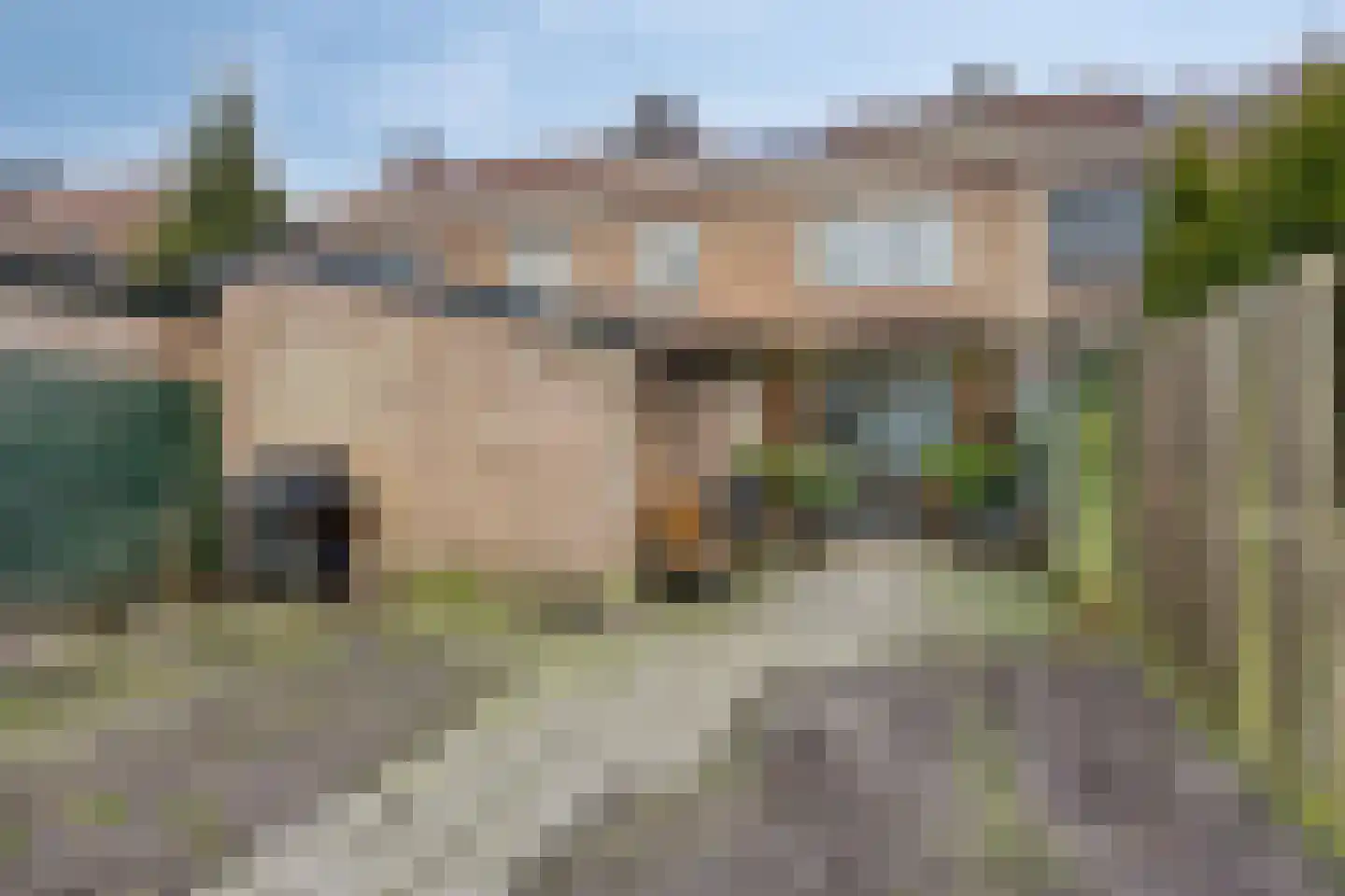 Bachlaan 52 Apeldoorn thumbnail 26