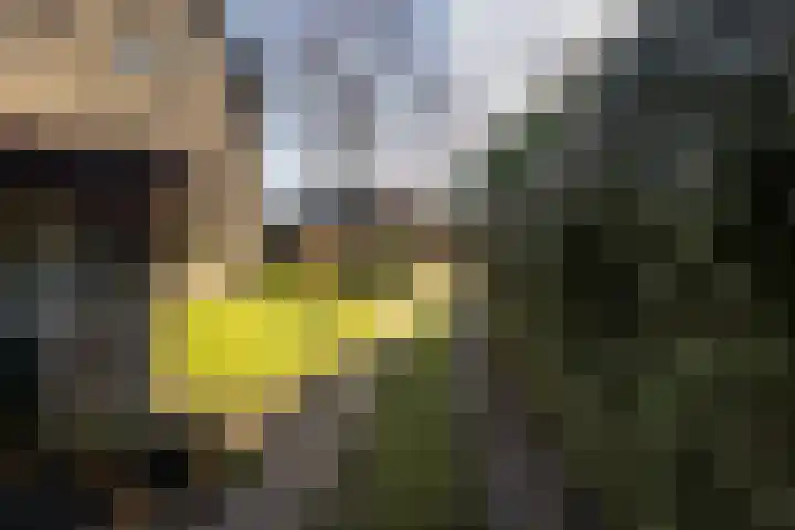 Bachlaan 54 Baarn thumbnail 5