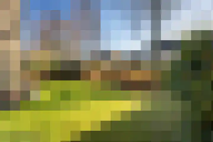 Bachlaan 54 Baarn thumbnail 6