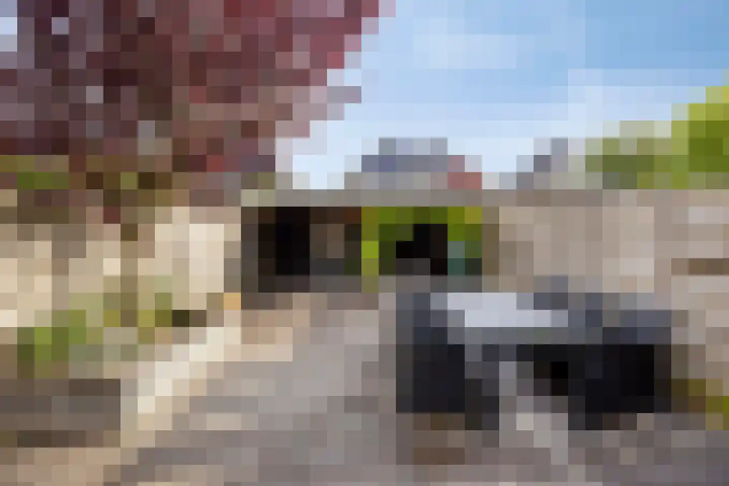 Bachlaan 54 Nieuw-Vennep thumbnail 15