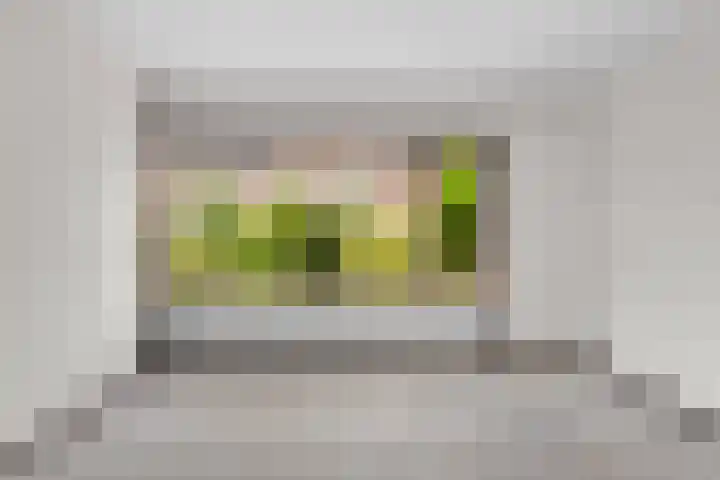 Bachlaan 56 Alkmaar thumbnail 12