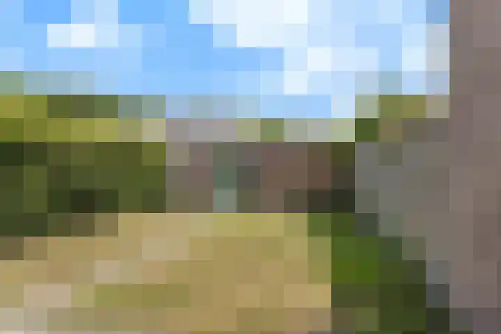 Bachlaan 56 Alkmaar thumbnail 39