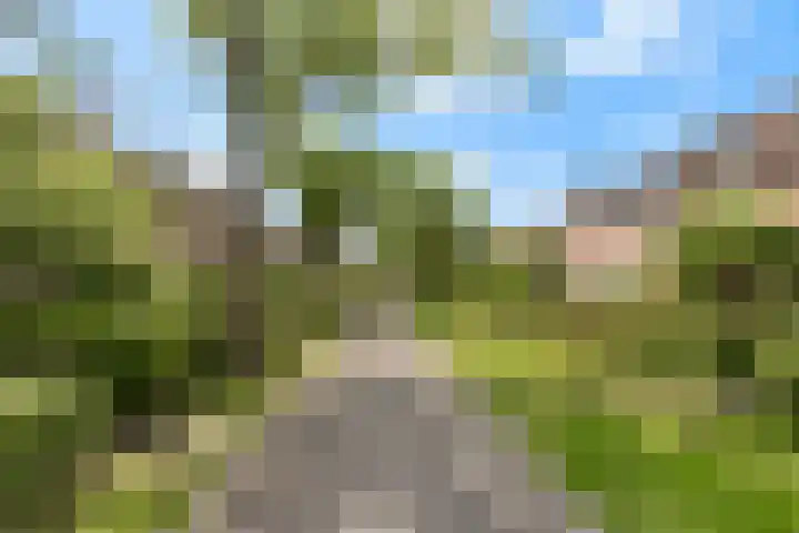 Bachlaan 56 Alkmaar thumbnail 49