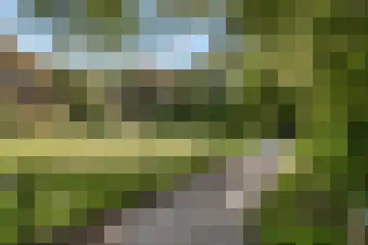 Bachlaan 56 Alkmaar thumbnail 51