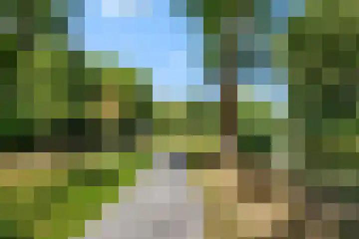 Bachlaan 56 Alkmaar thumbnail 52
