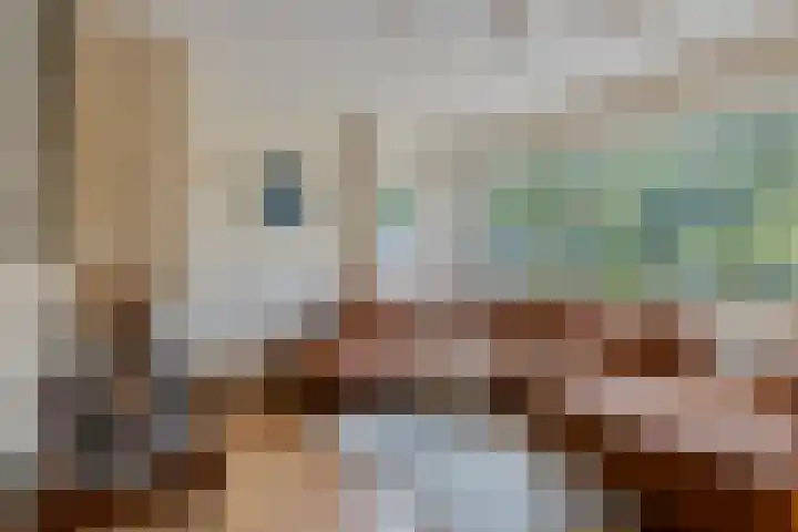 Bachlaan 56 Goes thumbnail 10