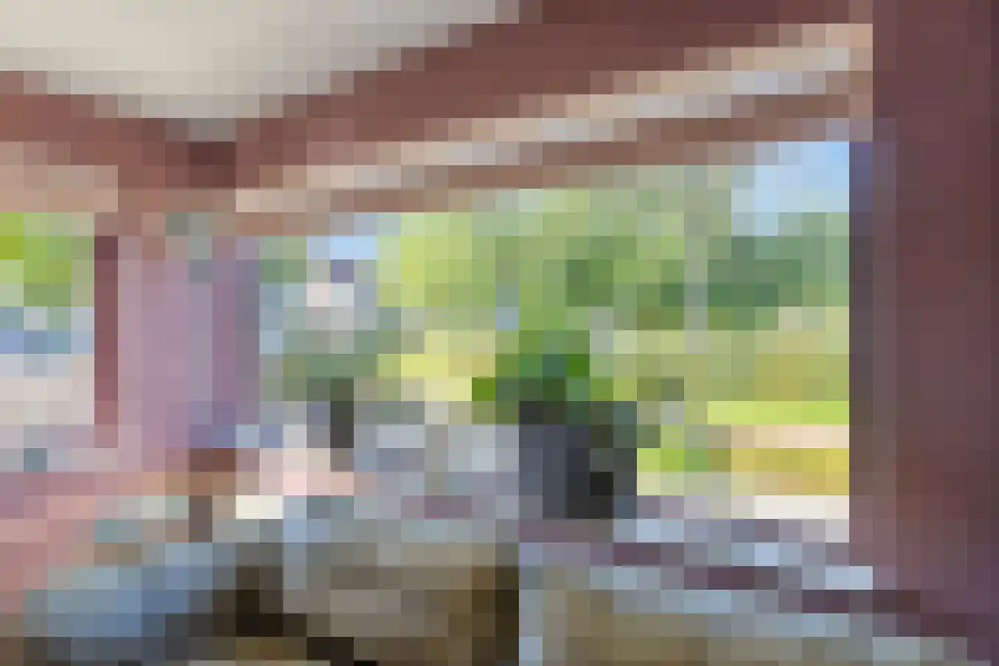 Bachlaan 56 Goes thumbnail 11