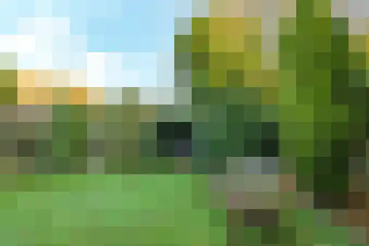 Bachlaan 56 Goes thumbnail 14