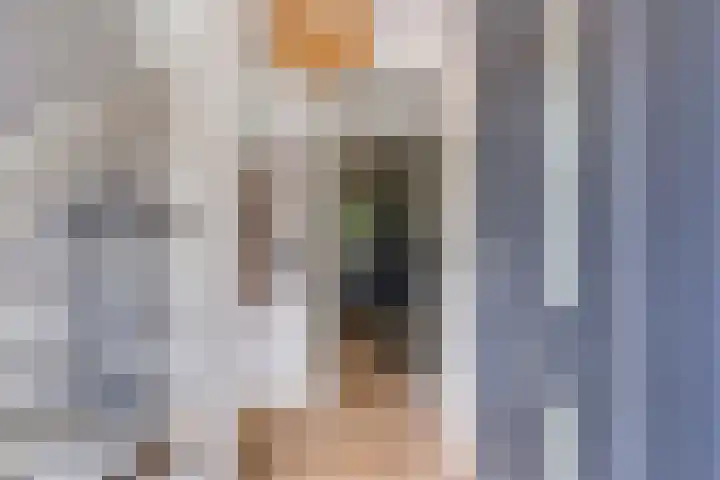 Bachlaan 56 Goes thumbnail 18