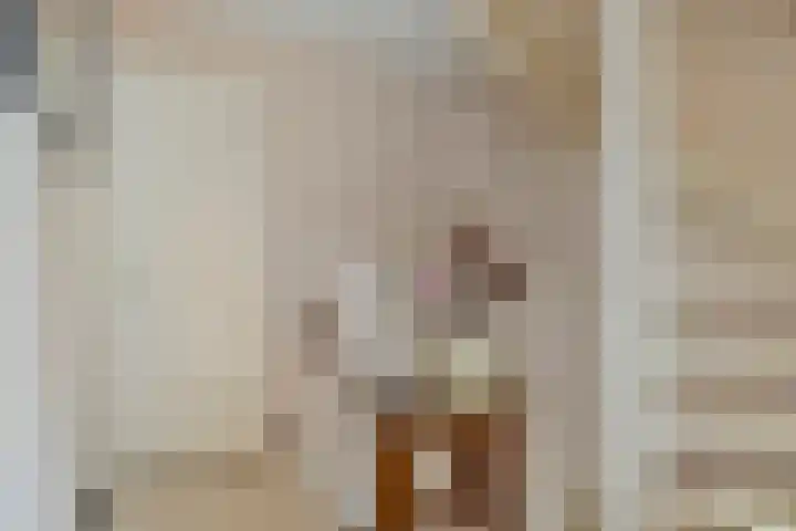 Bachlaan 56 Goes thumbnail 18