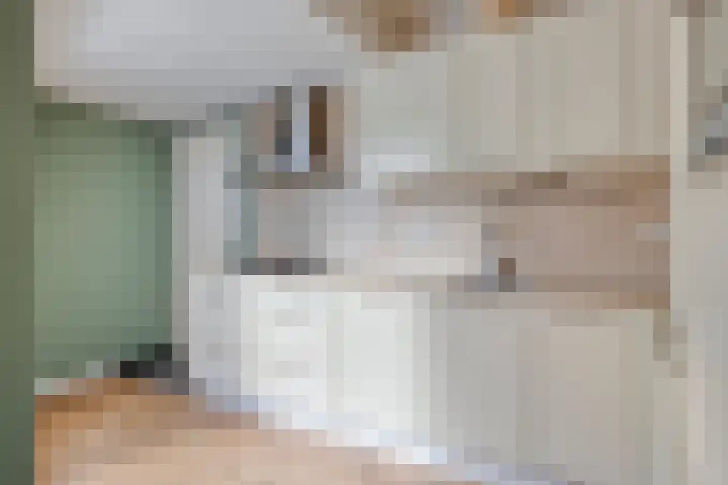 Bachlaan 56 Goes thumbnail 18