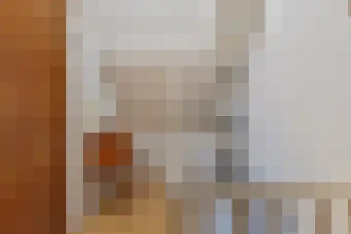 Bachlaan 56 Goes thumbnail 26