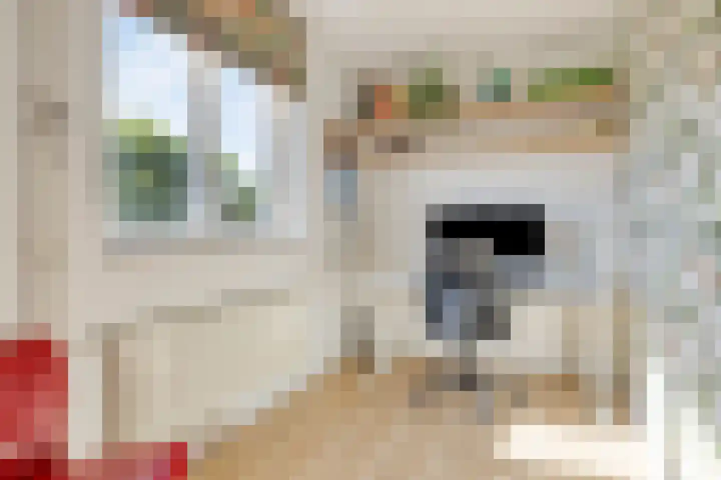 Bachlaan 56 Goes thumbnail 26