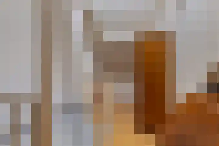 Bachlaan 56 Goes thumbnail 27