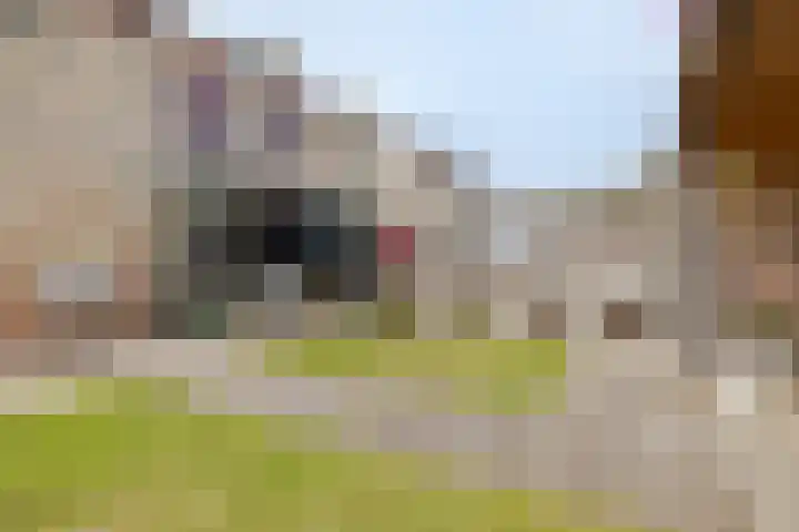 Bachlaan 56 Goes thumbnail 29