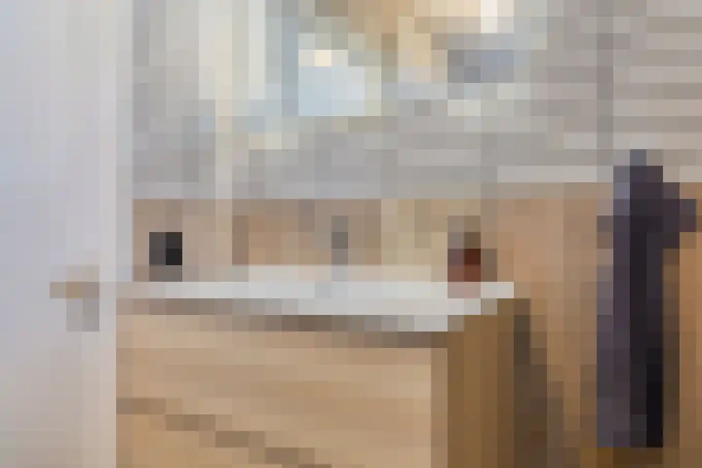 Bachlaan 56 Goes thumbnail 31