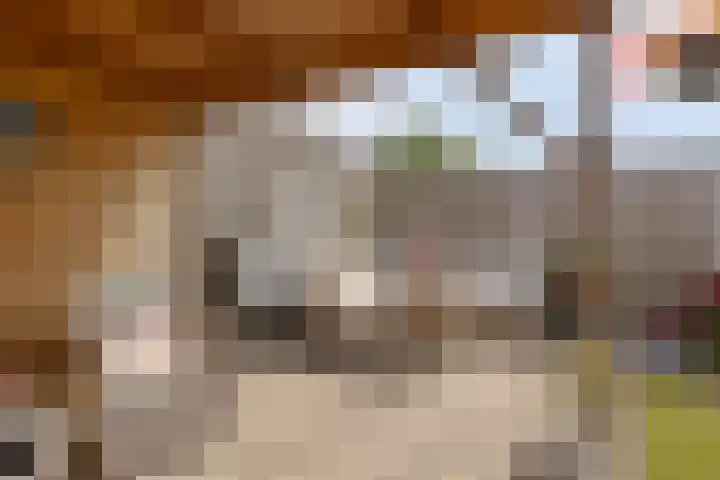 Bachlaan 56 Goes thumbnail 33