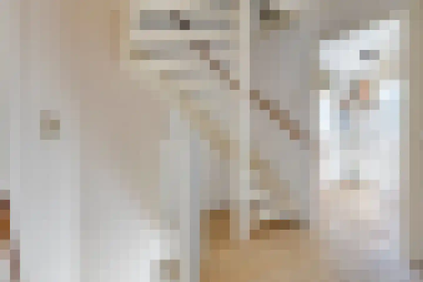 Bachlaan 56 Goes thumbnail 33