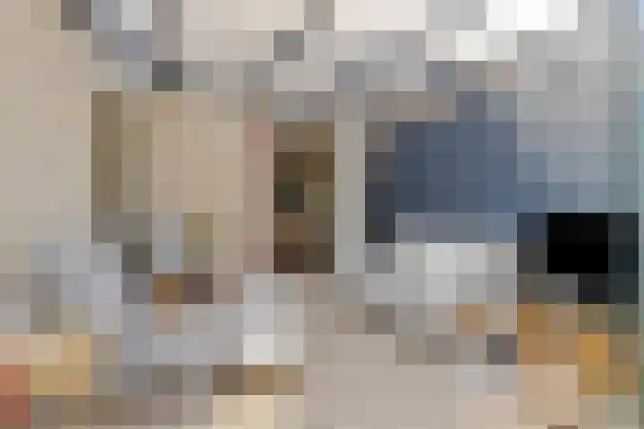 Bachlaan 56 Goes thumbnail 36