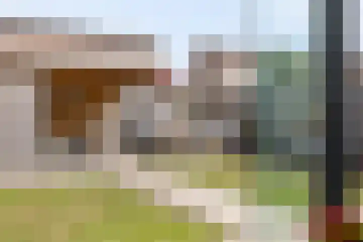 Bachlaan 56 Goes thumbnail 38