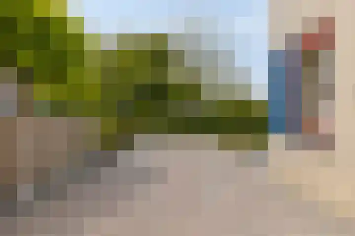 Bachlaan 56 Goes thumbnail 39