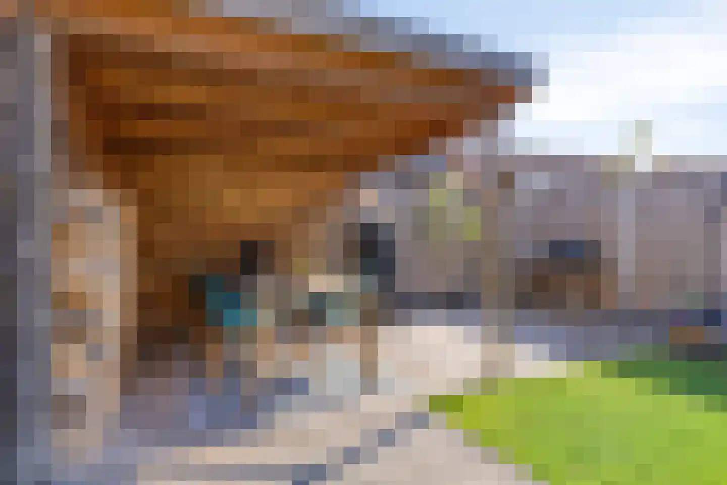 Bachlaan 56 Goes thumbnail 42
