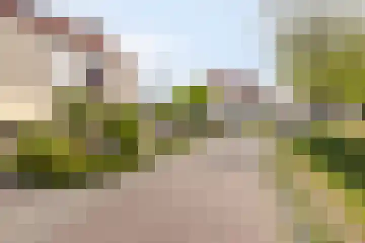Bachlaan 56 Goes thumbnail 44