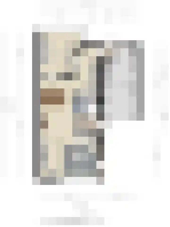 Bachlaan 56 Goes thumbnail 47
