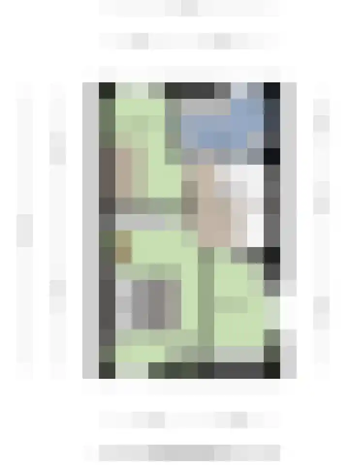 Bachlaan 56 Goes thumbnail 48