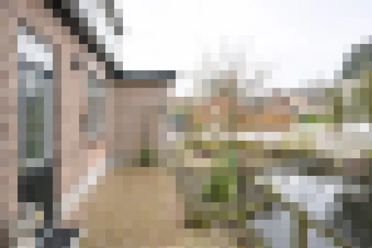 Bachlaan 56 Goes thumbnail 5