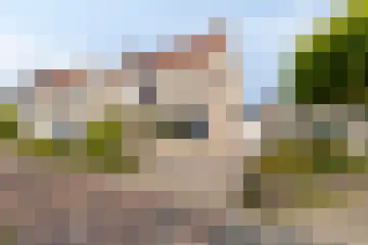 Bachlaan 56 Goes thumbnail 51
