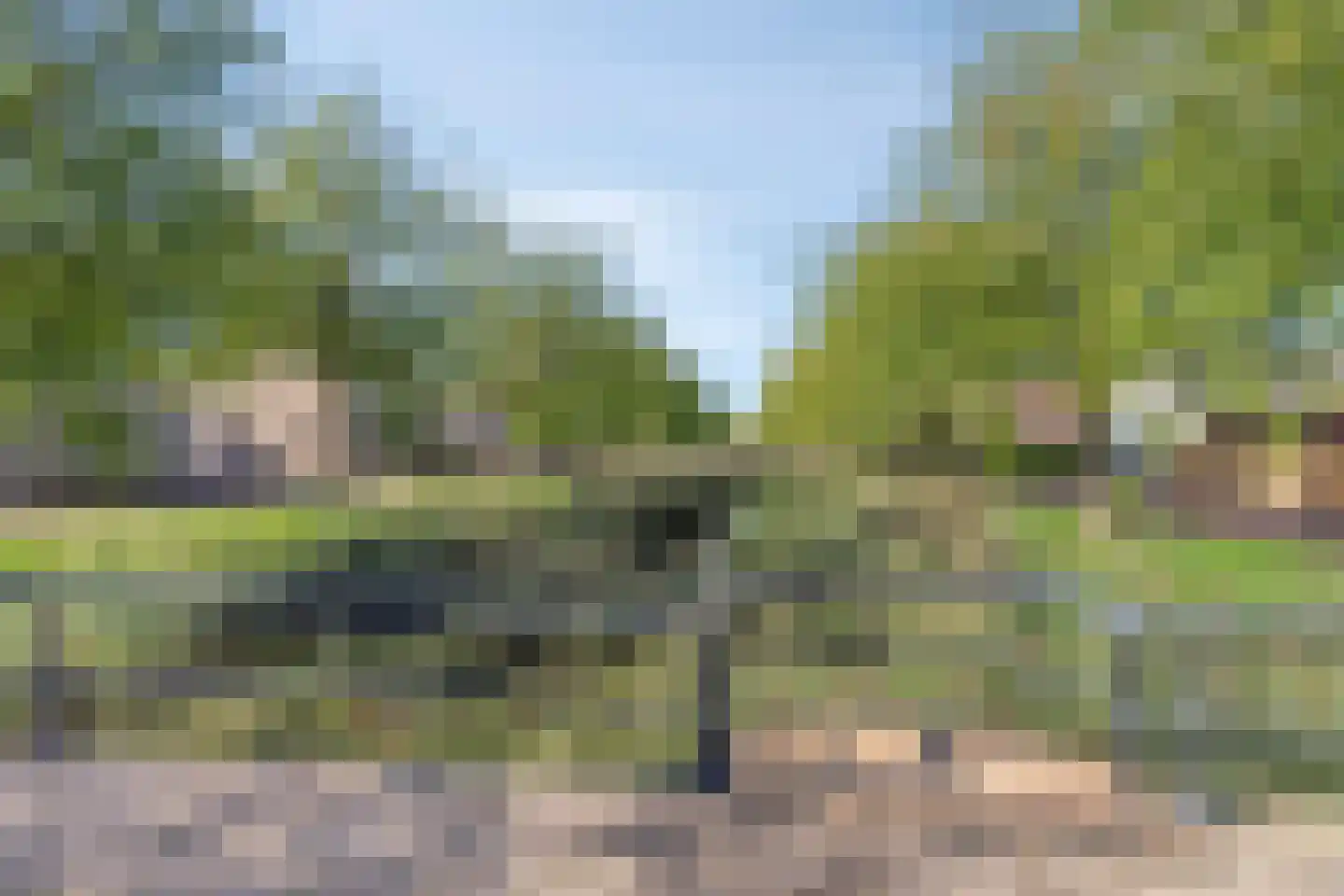 Bachlaan 56 Goes thumbnail 53