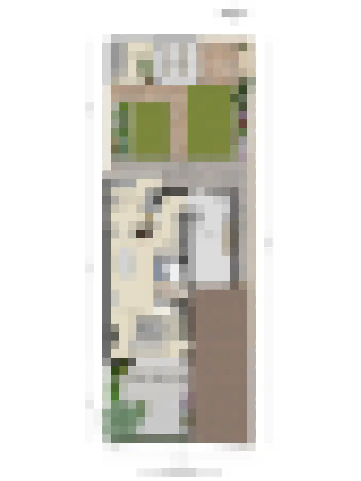 Bachlaan 56 Goes thumbnail 55