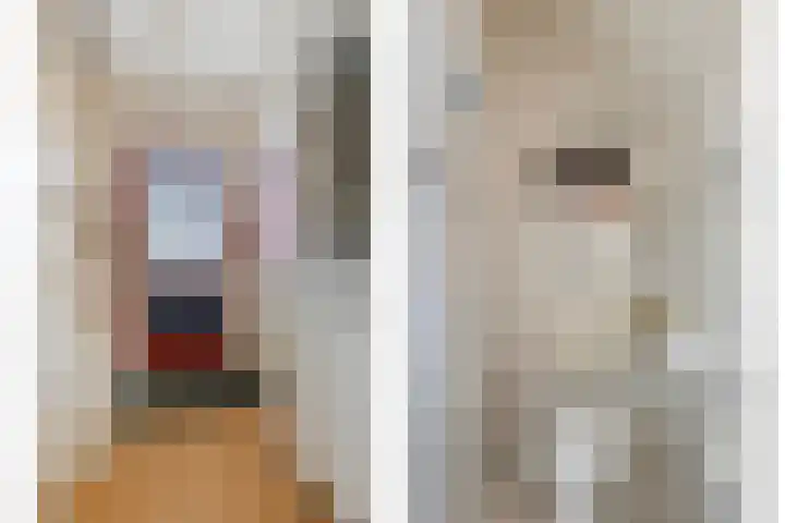 Bachlaan 56 Goes thumbnail 6